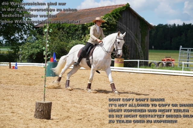 s_K3F06334.JPG